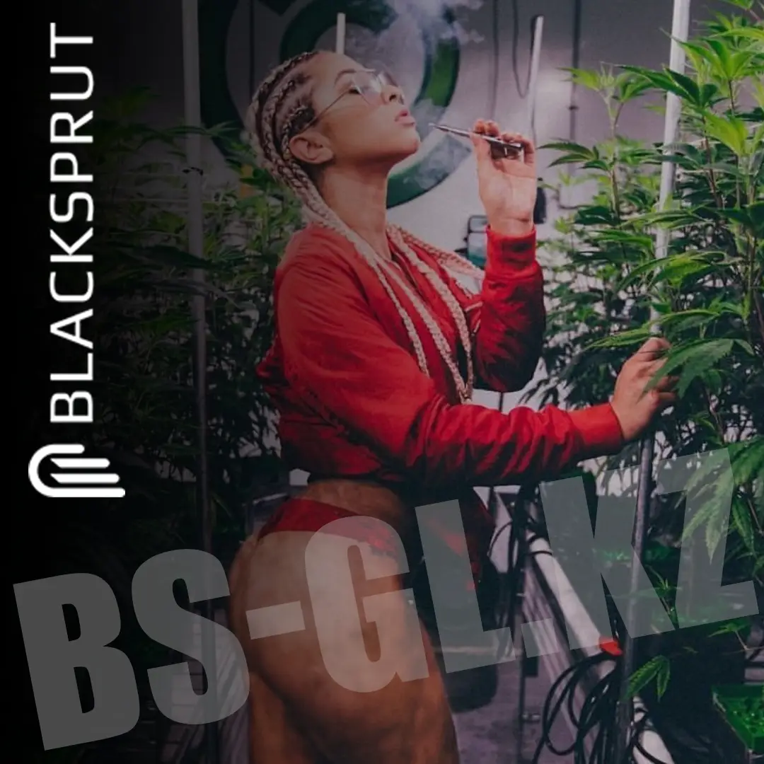 BS GL ссылка